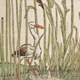 swan-reeds-v1